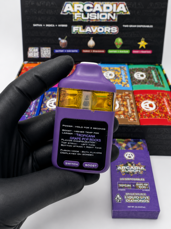 Arcadia Fusion 2G Disposable dual flavor retail display box