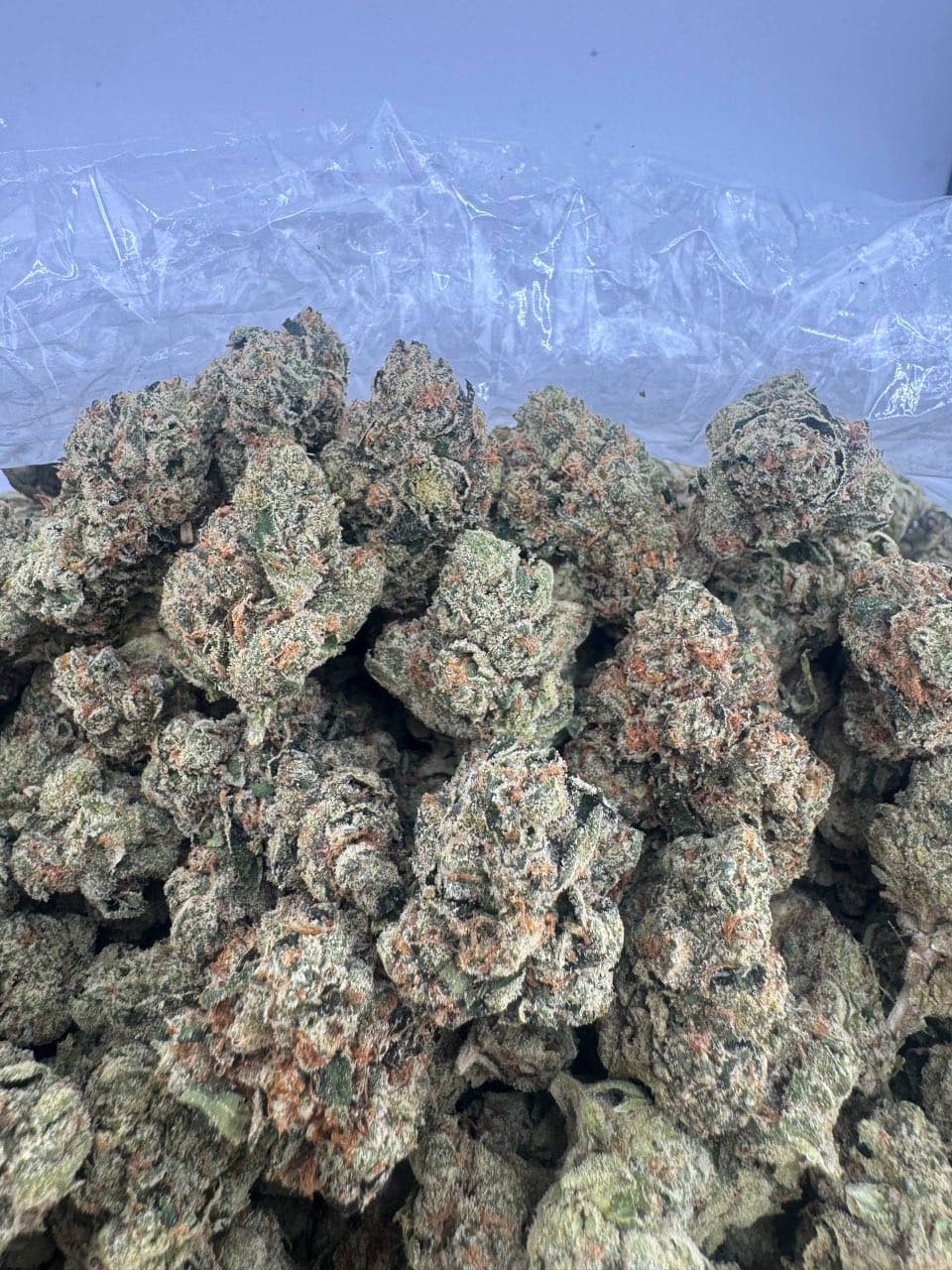 Jet Fuel Gelato Strain