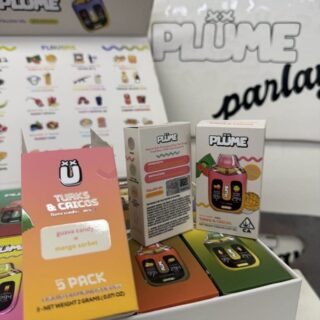 Plume 2g disposable
