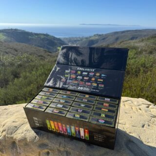 Exclusive 2G Disposable