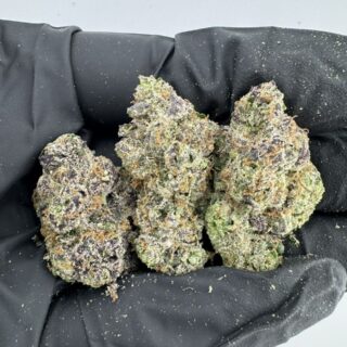 Blueberry candy strain