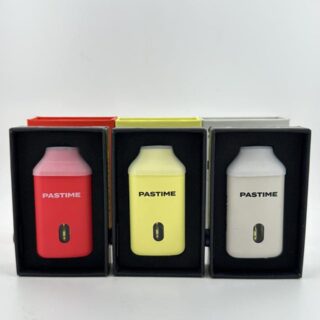 Pastime 2g disposable