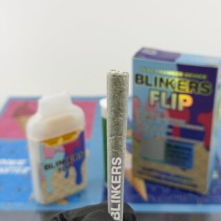 Blinkers Flip 2G Disposable