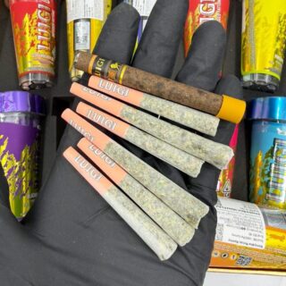 Luigi Fattone Pre‑Roll