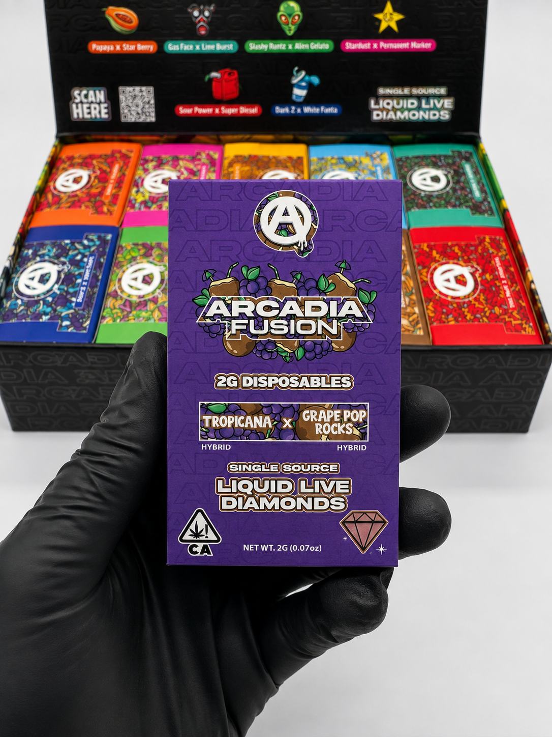 Arcadia Fusion 2G Disposable dual flavor retail display box