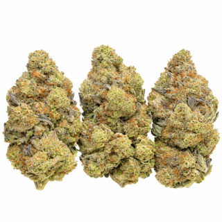 Grease Candy Strain
