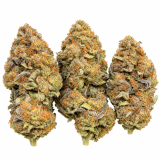 Blueberry Dum Dum Strain